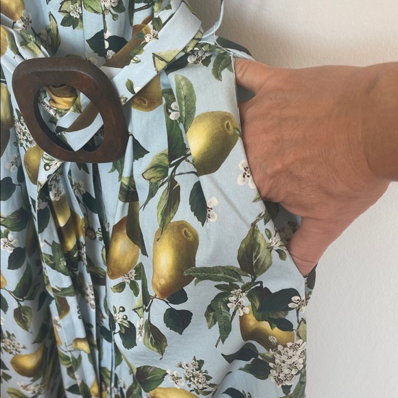 Zara Fruit Print midi Dress with Belt - Picture 4 of 7